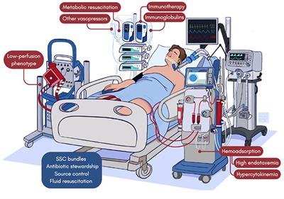 Current perspectives in the management of sepsis and septic shock